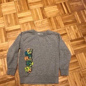 3/15$ Kids Gray Graphic Sweatshirt